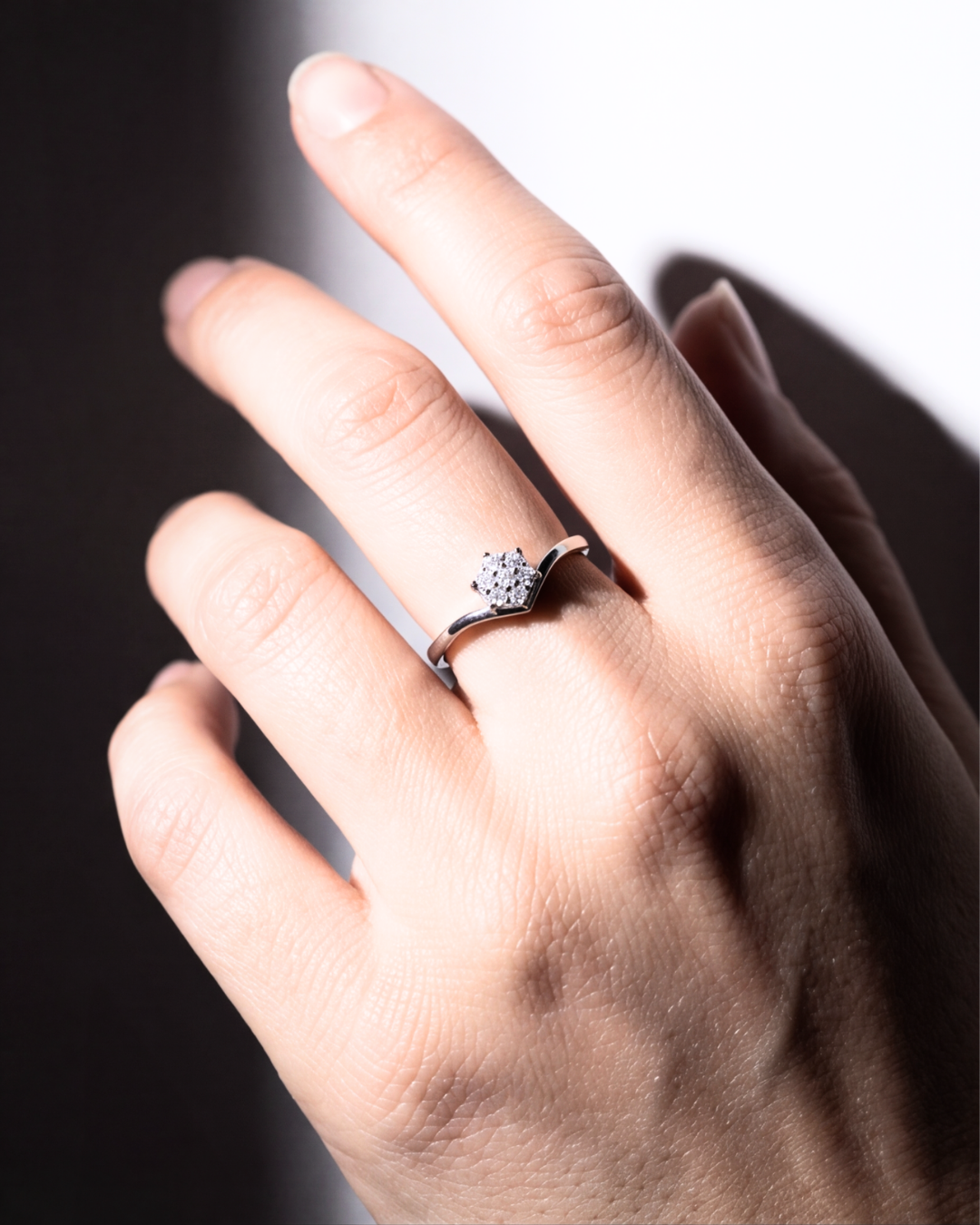 Eklavya Classic Halo Solitaire Ring — catalog image 1