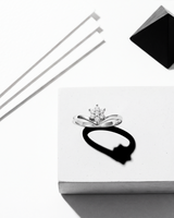 Eklavya Classic Halo Solitaire Ring — catalog image 3